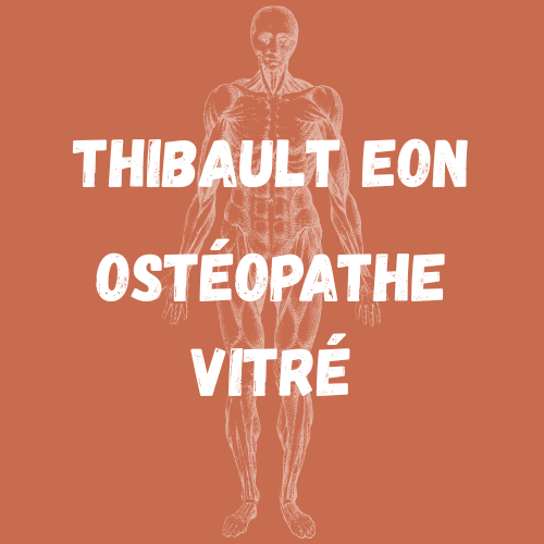 Thibault Eon Ostéopathe à Vitré